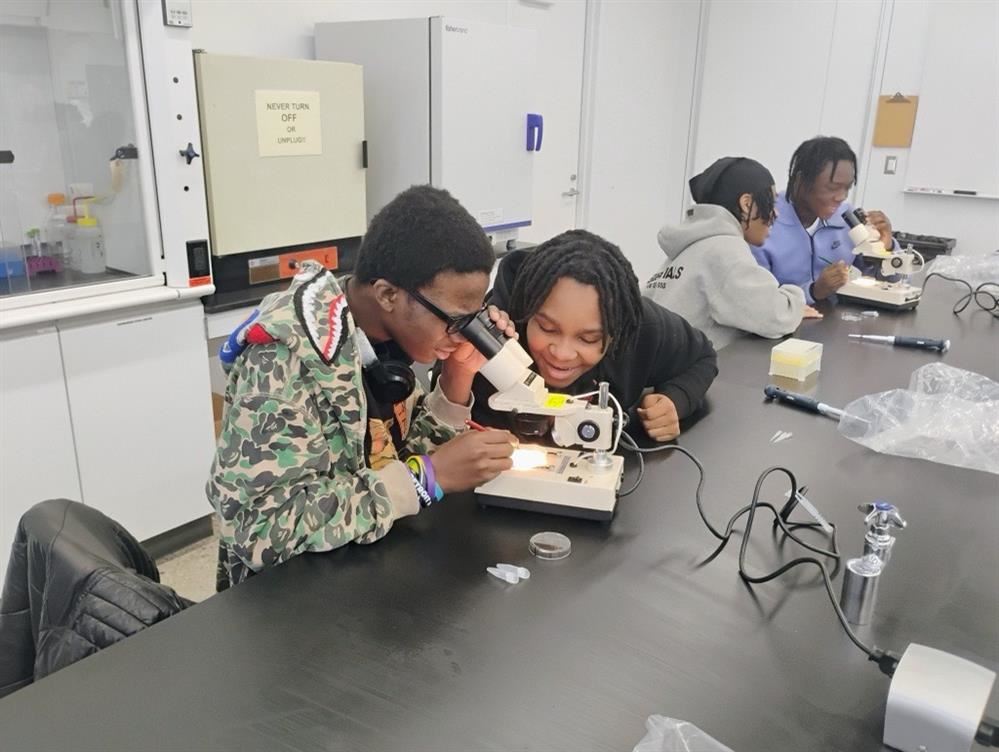 Student looking through microscope 
